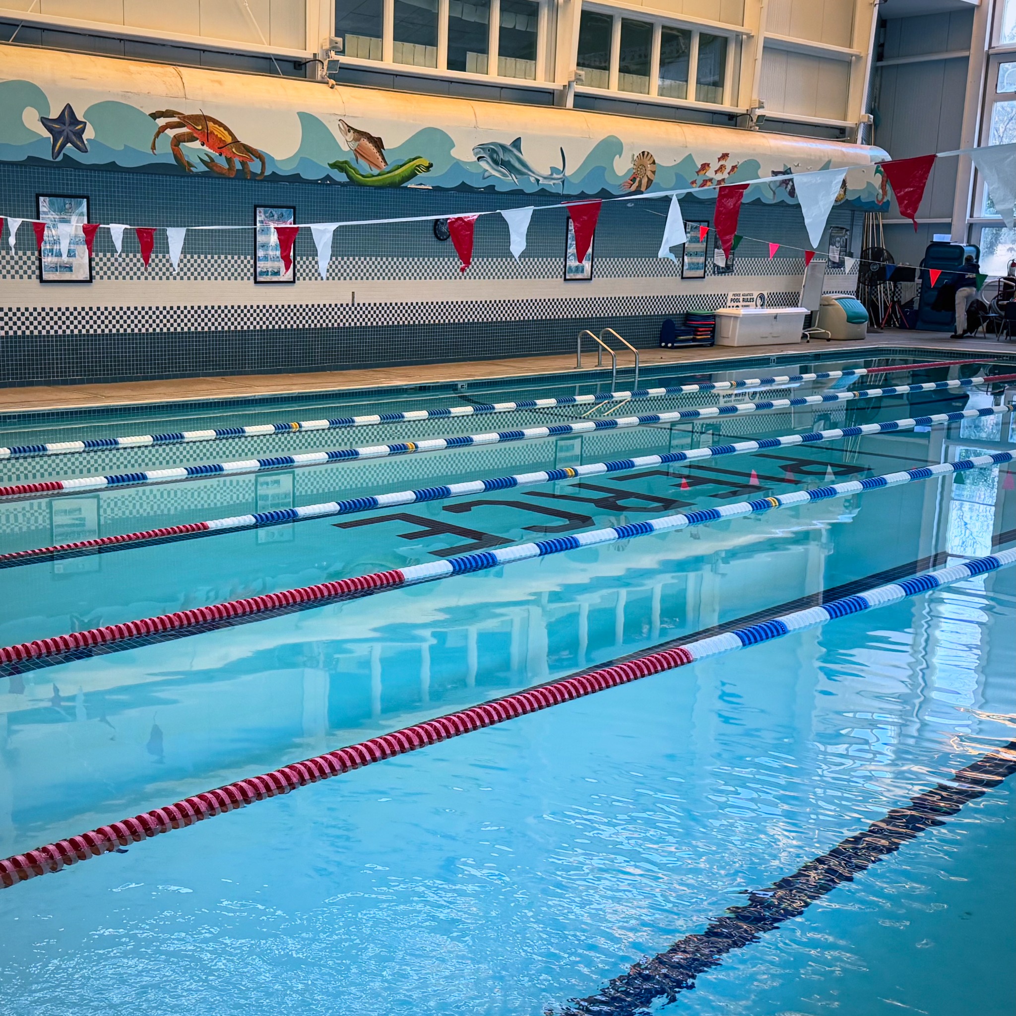 Indoor swimming pool in Roslyn, New York